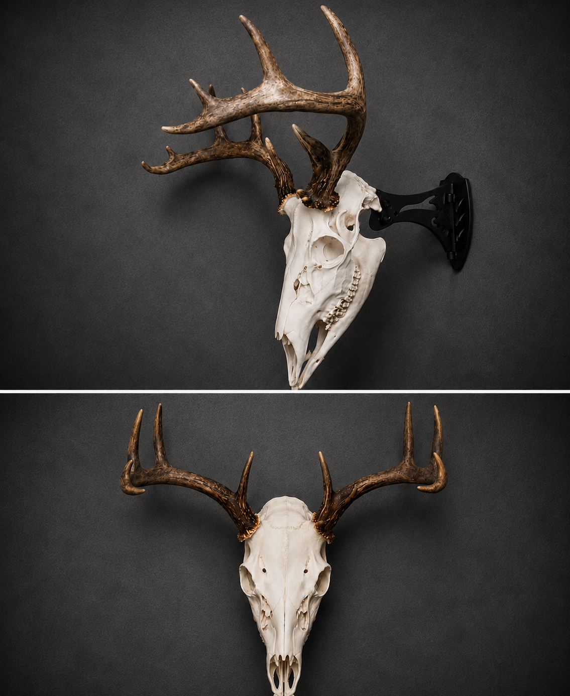 Trophy Time deer euro mount