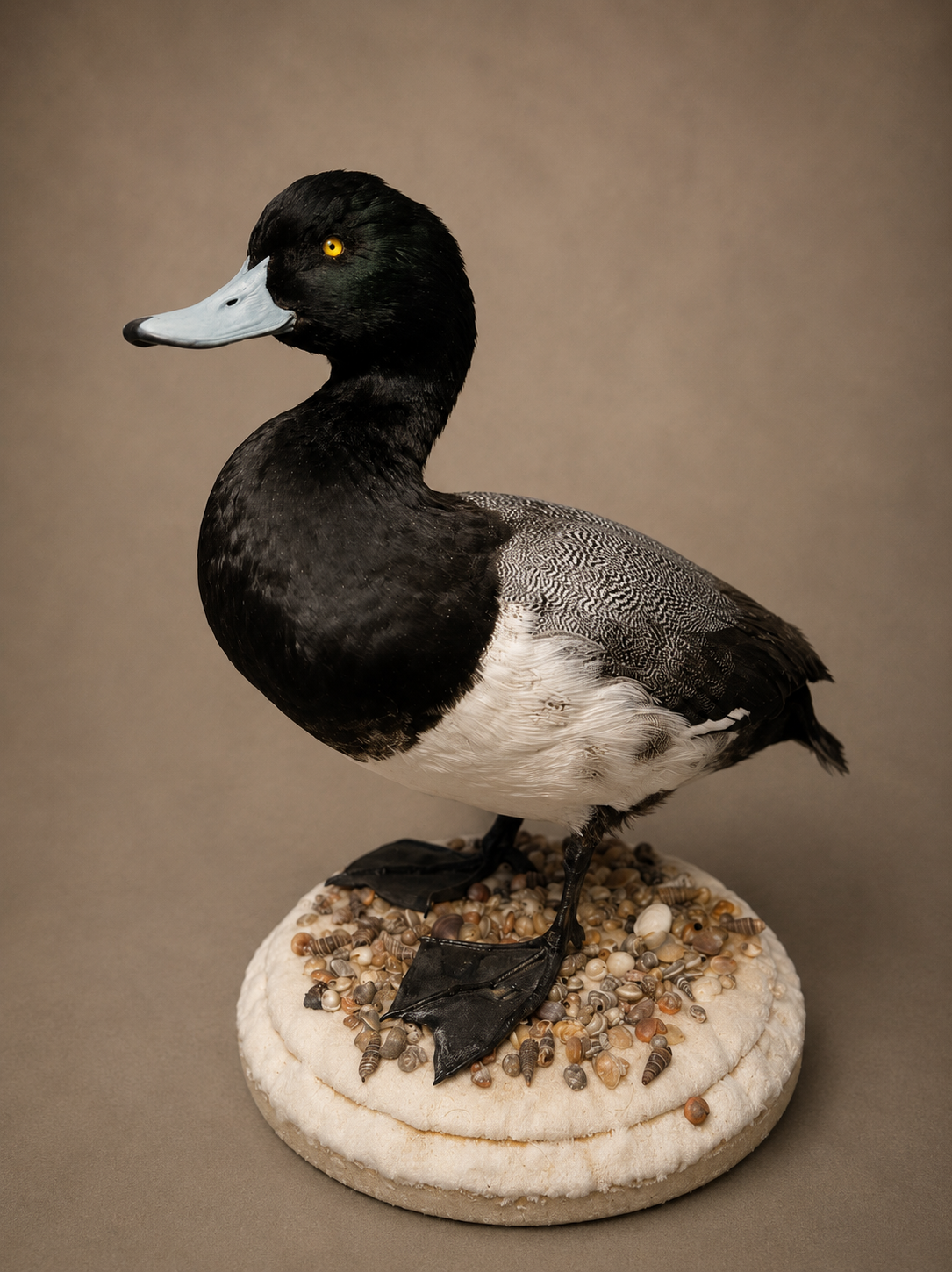 Trophy Time, LLC project image 1